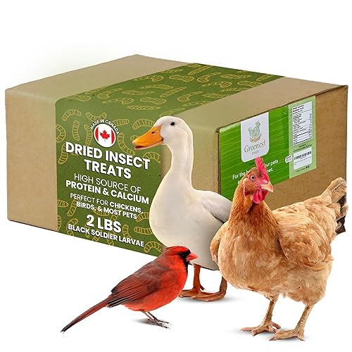 Dried Black Soldier Fly Larvae Chicken Treats for Hens, Duck, Wild Birds, Lizard, Tortoise, Fish - All Natural High Protein Dried Mealworms Alternative | Made in Canada - 2 pounds