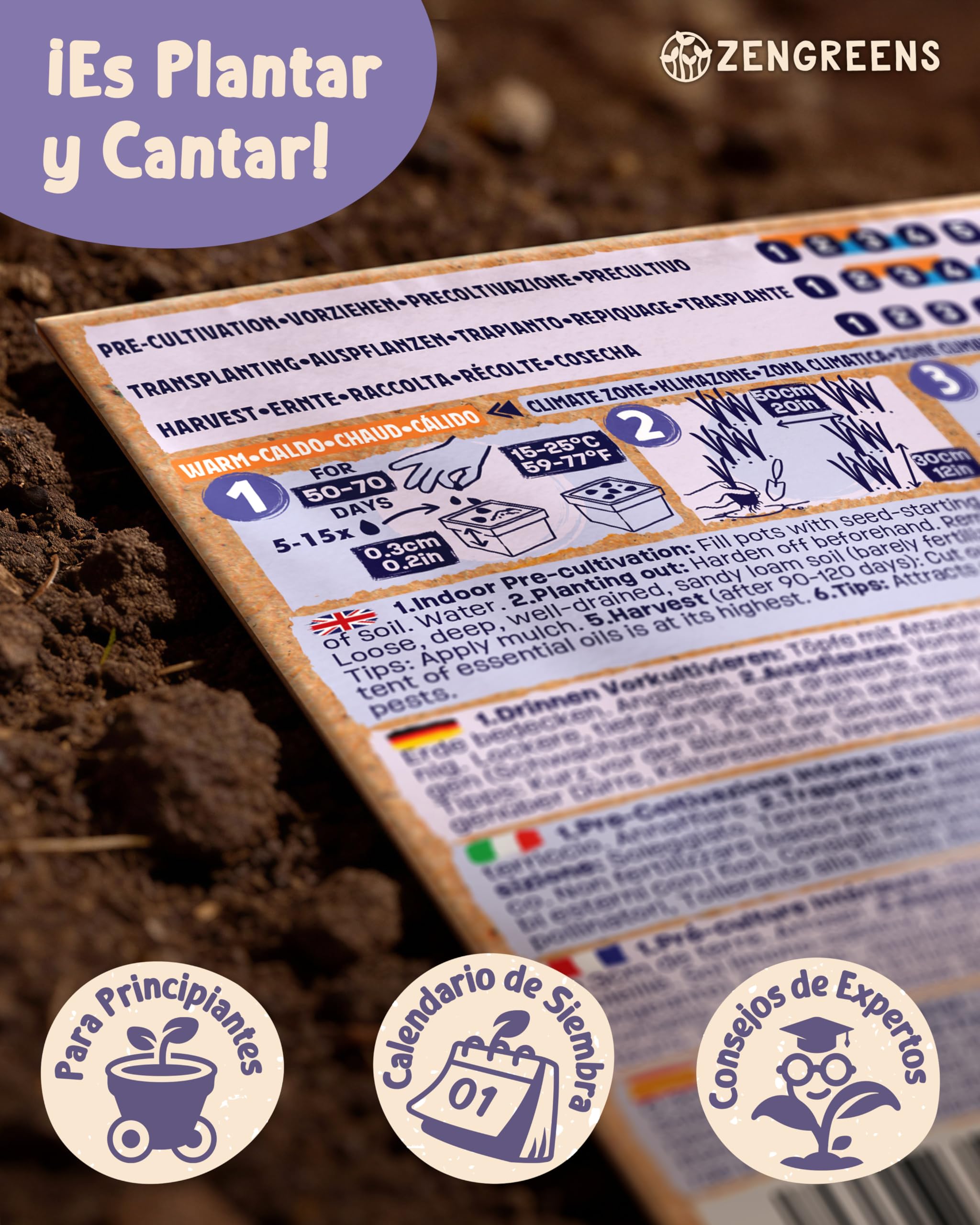 ZenGreens® - Set de semillas de hierbas medicinales y para infusiones eco - 10 variedades para cultivar fácilmente en el jardín, balcón o parterre elevado - Sementes verduras — view 8
