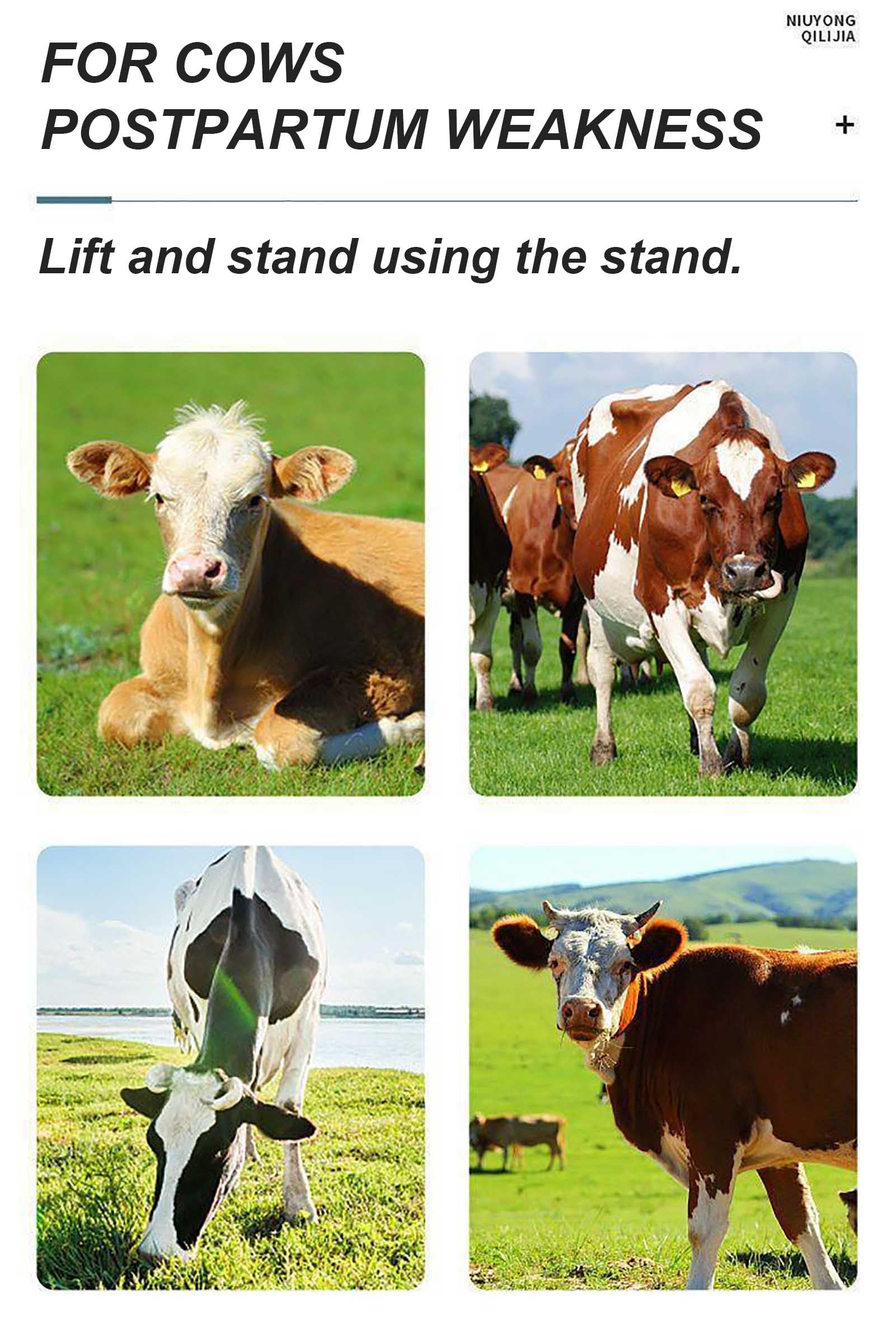 Morsetto per sollevamento bestiame, supporto regolabile in acciaio per sollevamento dell'anca, per distocia e post-parto nelle mucche, supporto durevole per la salute del bestiame