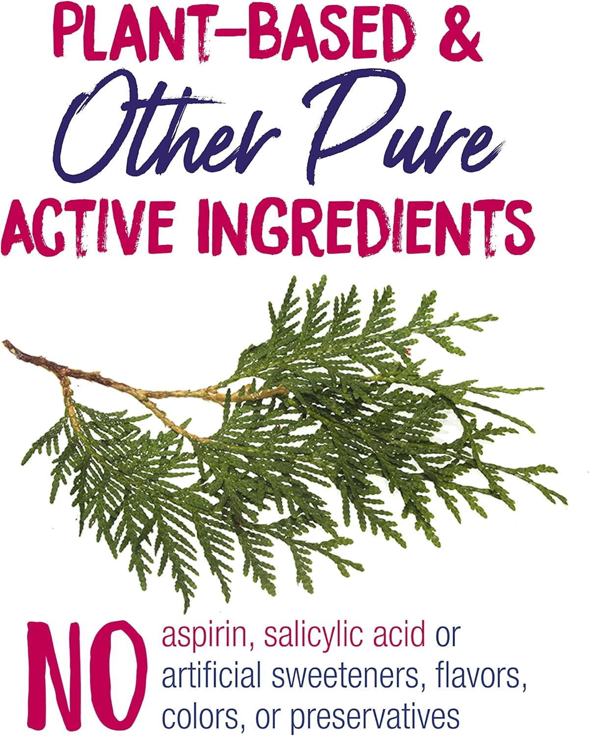 Boiron WartCalm for Painless Wart Removal on Hands, Knees, Plantar (Feet), and Other Bodily Warts for Adults & Children Ages 2+ - 60 Count Tablets : Electronics