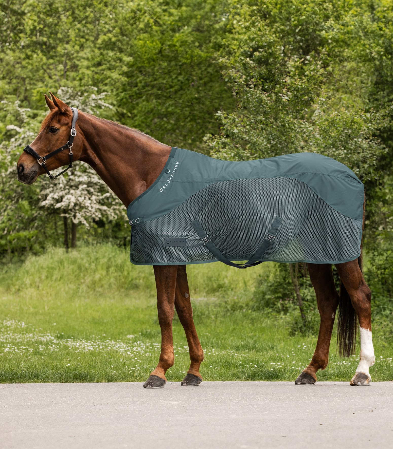 Waldhausen Manta antimoscas para lluvia, 125 cm, color verde pino