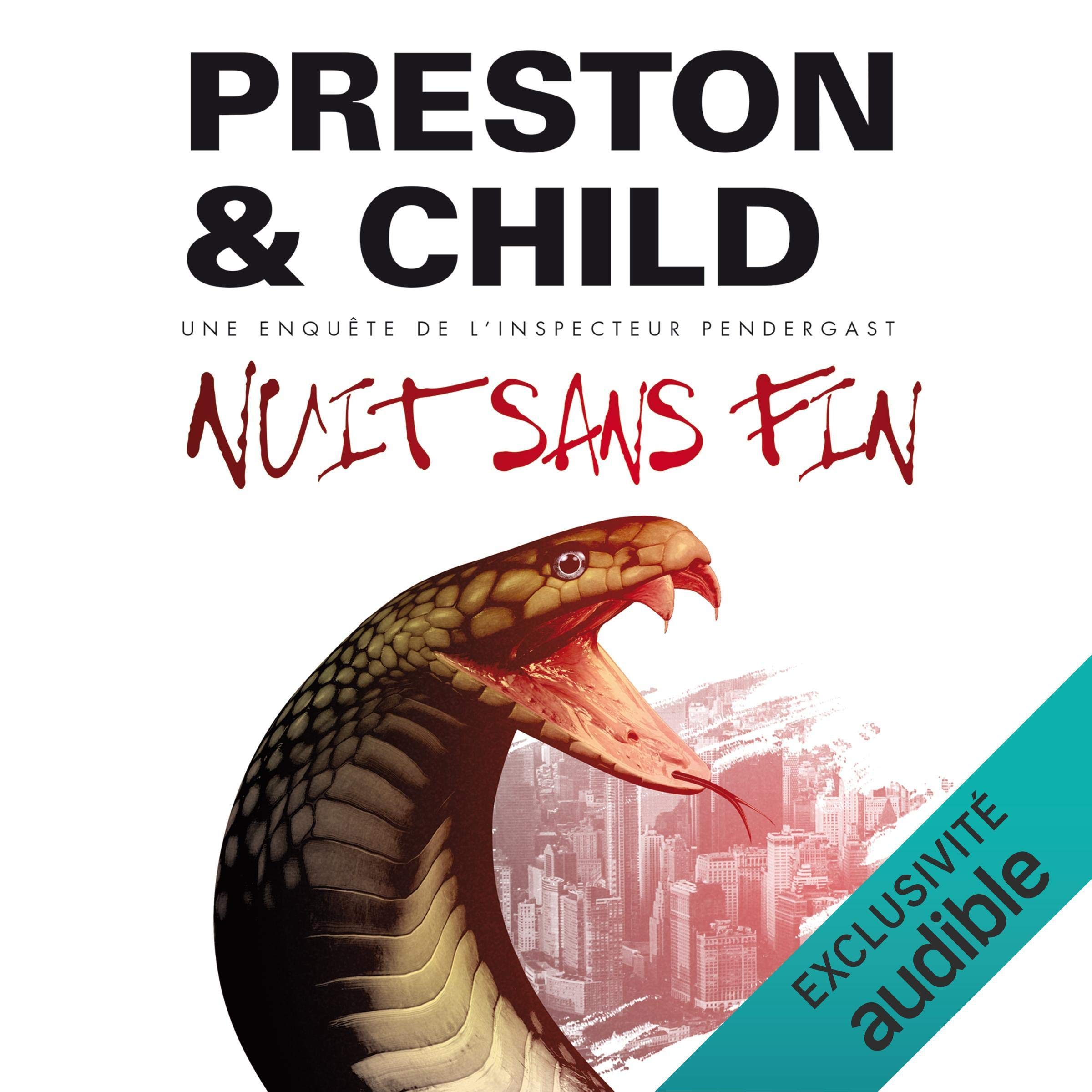 Cover art for Nuit sans fin