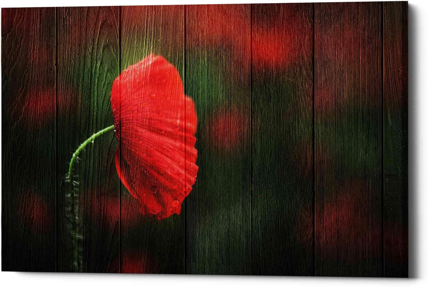 Epic Graffiti 'Wood Series: A Red Poppy' Canvas Wall Art, 12" x 18"