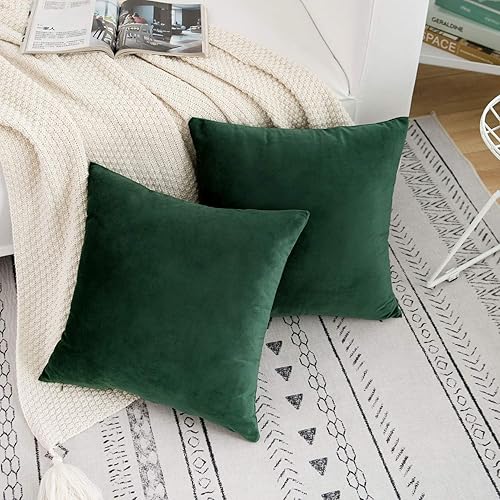Miniatura 3 de RainRoad Juego de 2 fundas de almohada decorativas de terciopelo suave de 20 x 20 pulgadas para sofá y cama (verde oscuro, 20 x 20 pulgadas (paquete