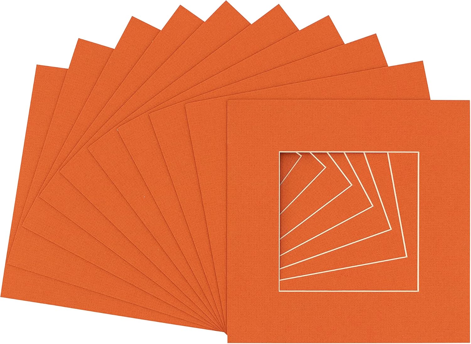 16x16 Mat for 20x20 Frame Precut Mat Board AcidFree Show