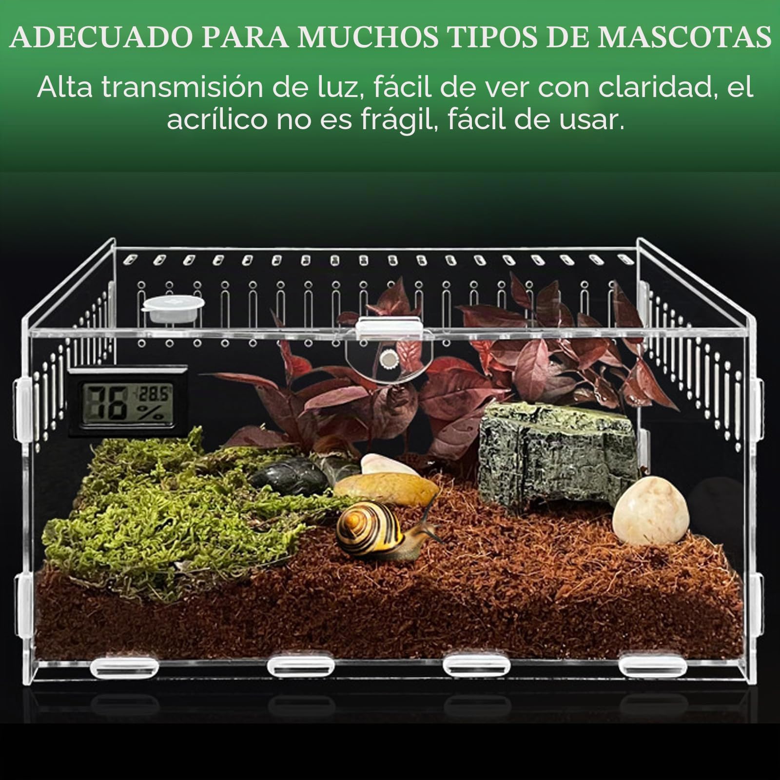 Terrario Acrílico para Caracoles y Reptiles - 30 cm x 20 cm x 15 cm, Caja de Alimentación Portátil para Arañas, Mini Terrario