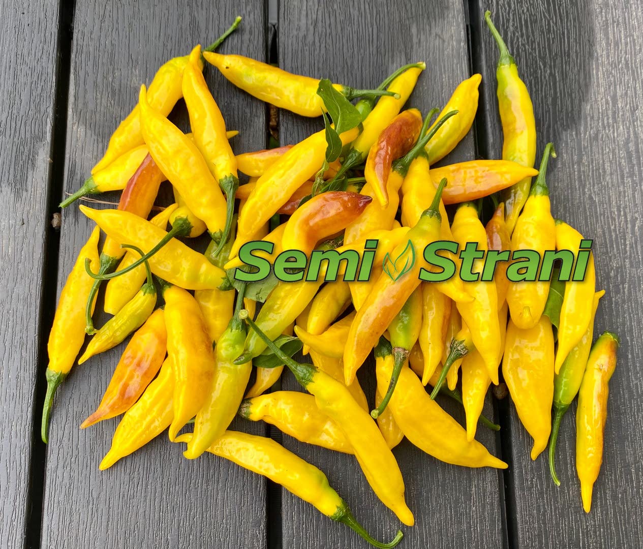 SEMISTRANI.IT - 120 Semi Peperoncino In 12 Varietà Delle Più Piccanti e Gustose Del Mondo, Coll. 2 + Guida Coltivazione: CAROLINA REAPER, SCORPION, BORG 9, HABANERO, FATALII, ACRATA, JALAPENO, etc