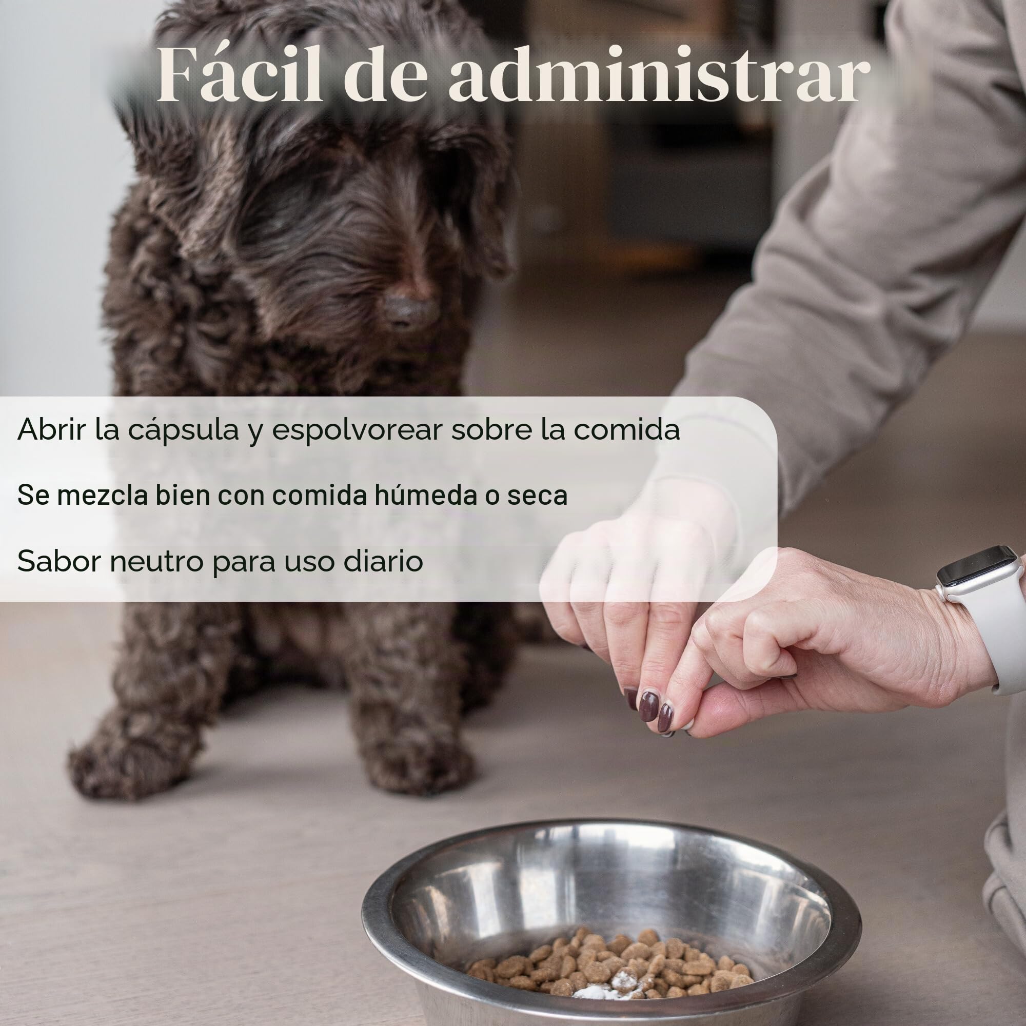 L-lisina para gatos y perros – Cápsulas de L-lisina en dosis altas 670 mg para apoyar el sistema inmunológico – Aminoácido Complemento alimenticio – 100 Cápsulas