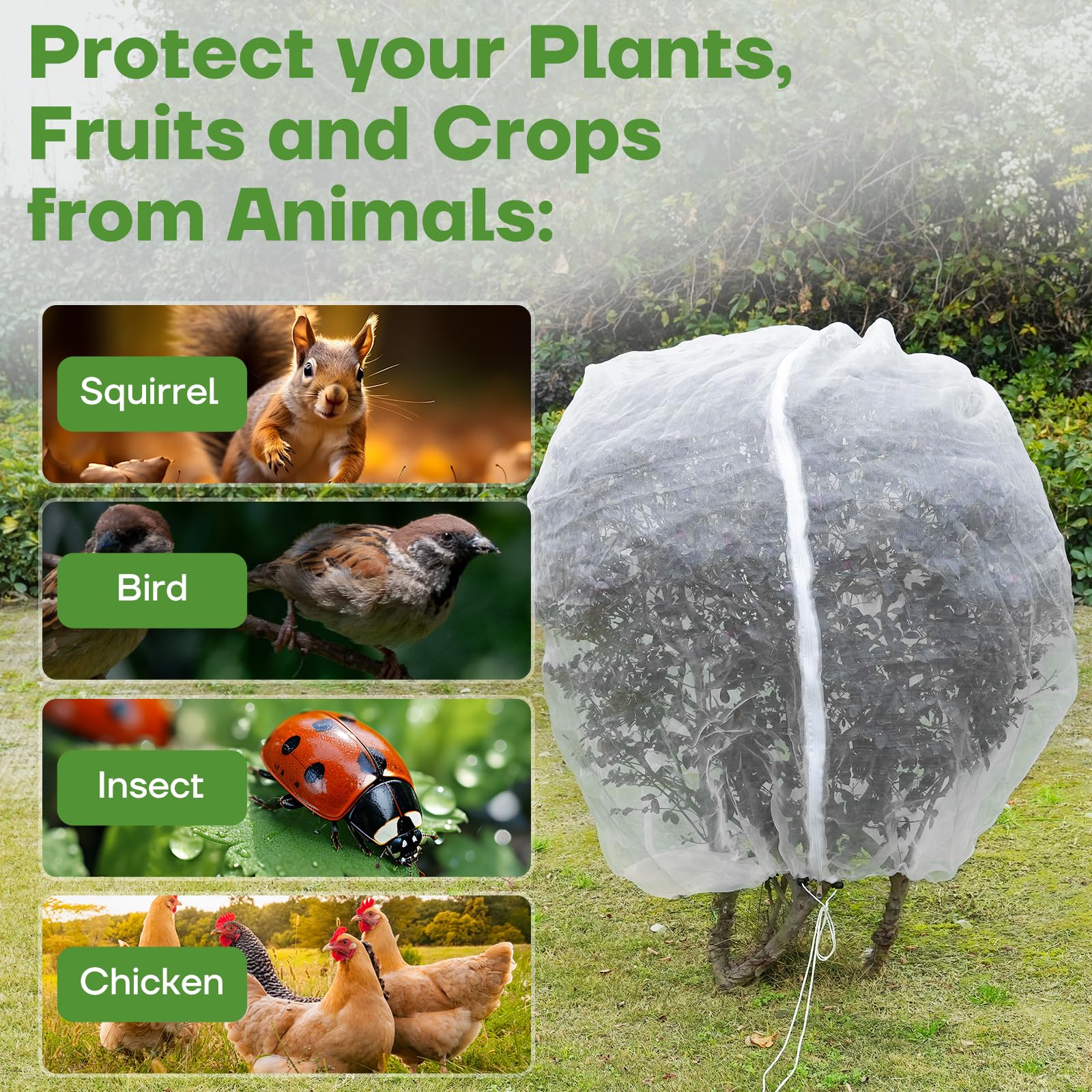 Red de pájaros de 8 pies x 8 pies para jardín con cremallera y cordón, paquete de 2 redes de malla para insectos, bolsa de barrera de plagas, arbustos de arándanos, cubierta de red para vegetales y
