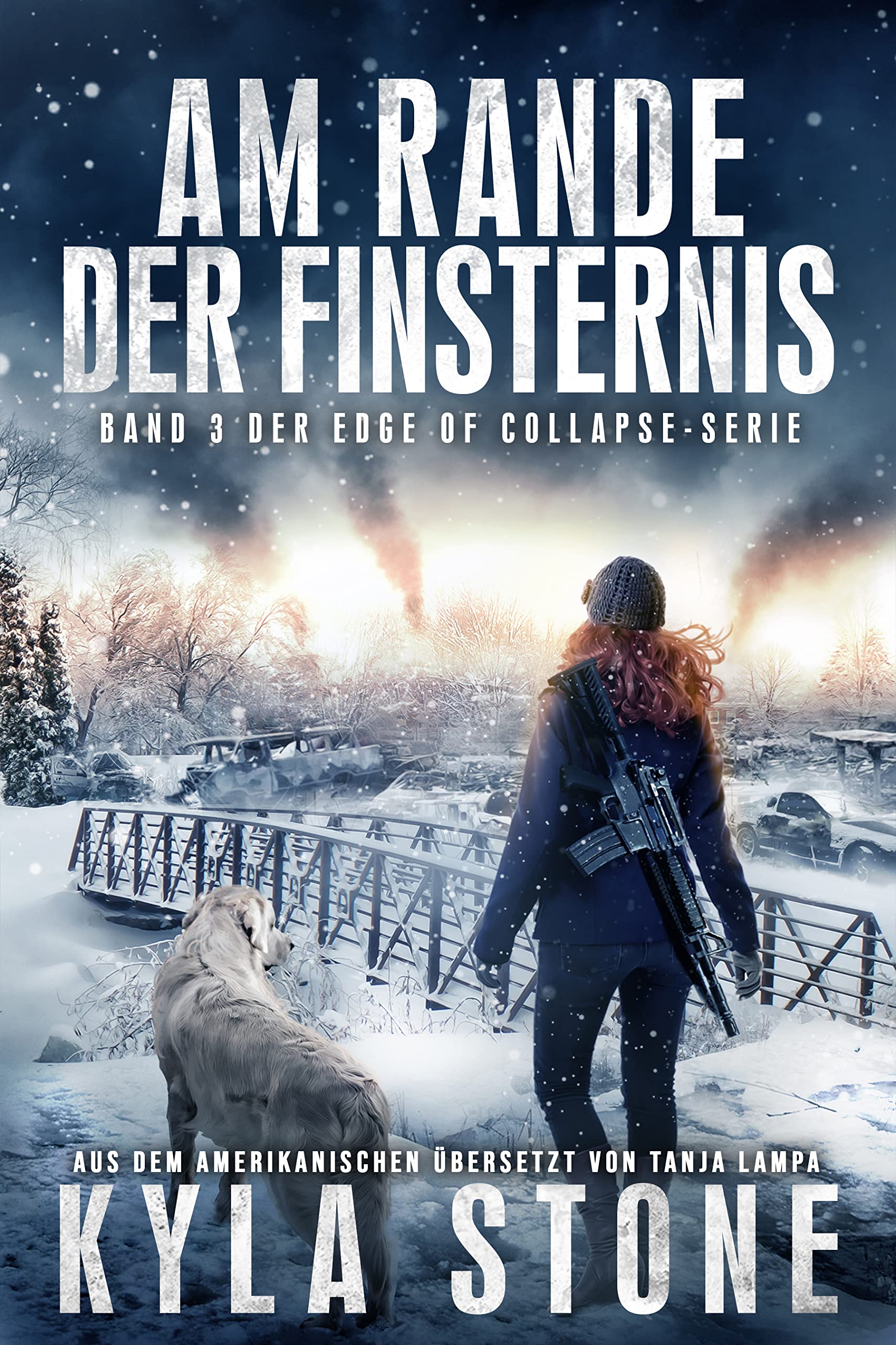 Am Rande Der Finsternis : Band 3 Der EDGE OF COLLAPSE-Serie