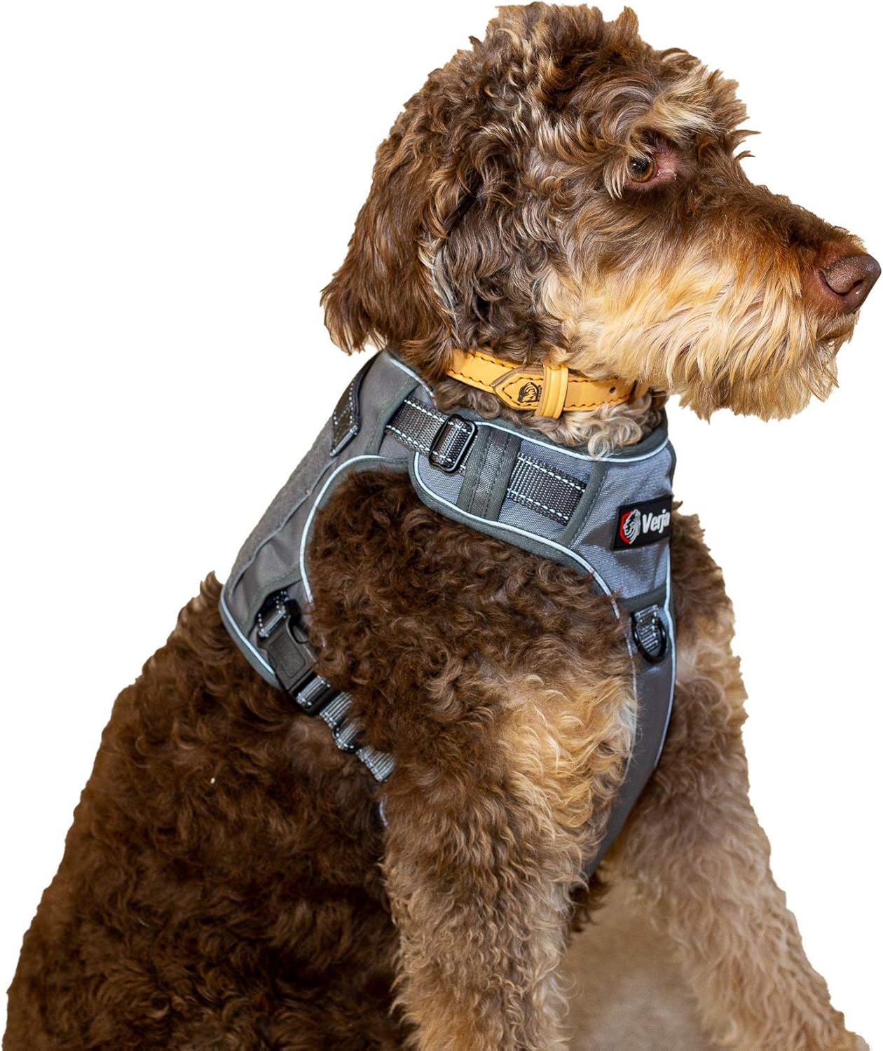 Tactical Dog Harness No-Pull Adjustable Pet Harness Reflective K9 Working Training Pet Vest Military Service Dog Harness for Small Medium Large Dogs (L(Neck:18-27",Chest:24-35"), Grey)
