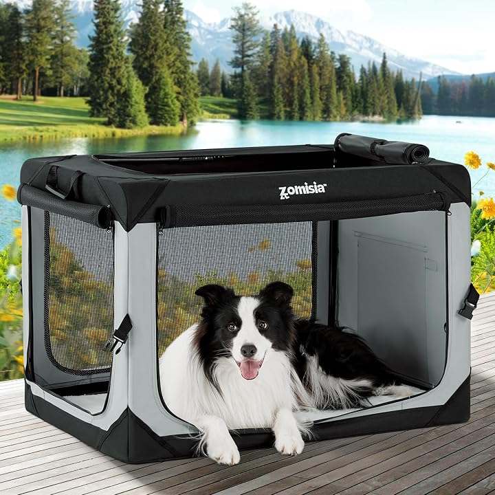 Transparent editorial object representing Lifestyle
