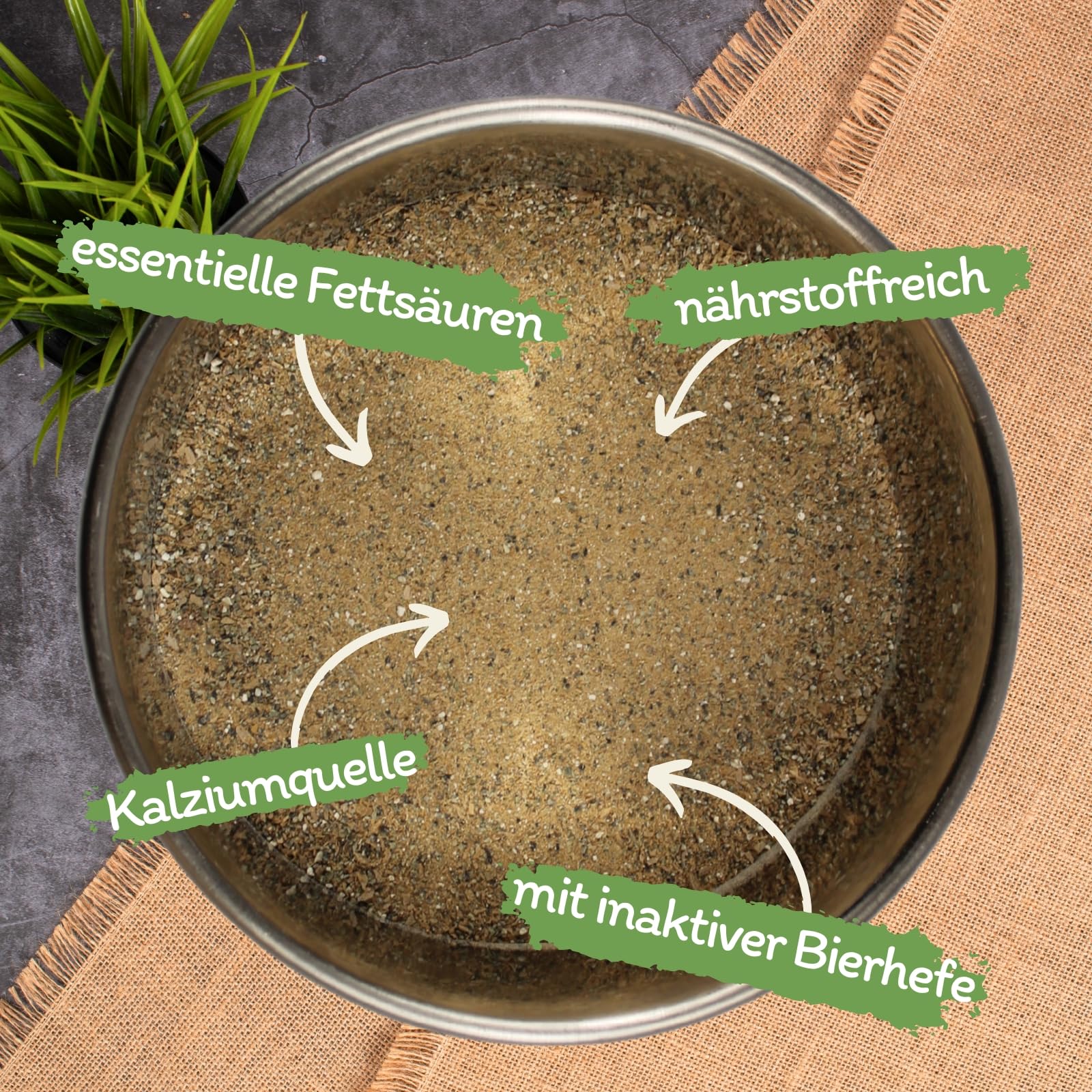 Lecker.Pet® 3 x 1 kg Barfer's Solution Complete Universal Nutritional Mix en Poudre pour Chiens | Complément Alimentaire pour Chiens | Alimentation Barf équilibrée | Levure de bière & Talc d'algues