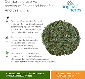 WINTERGREEN, ORTHILIA SECUNDA L. | Original Herbs Herbal Tea – Wild Crafted Herbs Tea – 50g.