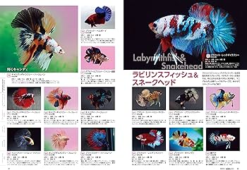 月刊アクアライフ 2023年01月号 2023年アクアリウム超図鑑800 ○特別