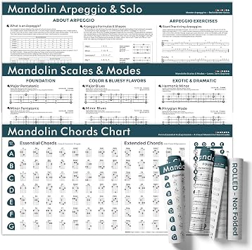 Mandolin Wall Chart Bundle Set of 3 Posters Chords, Scales & Arpeggios 18x36 Inch Canvas Mandolin Learning Bundle for Beginner to Advanced Players Rolled in Tube, Not Folded