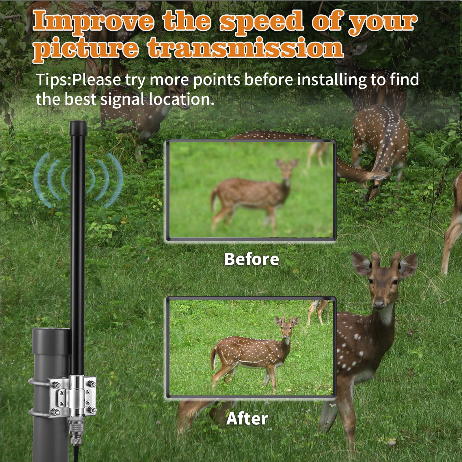 Antenne de caméra de piste cellulaire longue portée 4G LTE 10 dBi avec câble de 5 m pour caméra de trail Spypoint LM2 Flex Link Micro Link EVO Stealth Cam Tactacam Reveal X PRO Gen Series Muddy