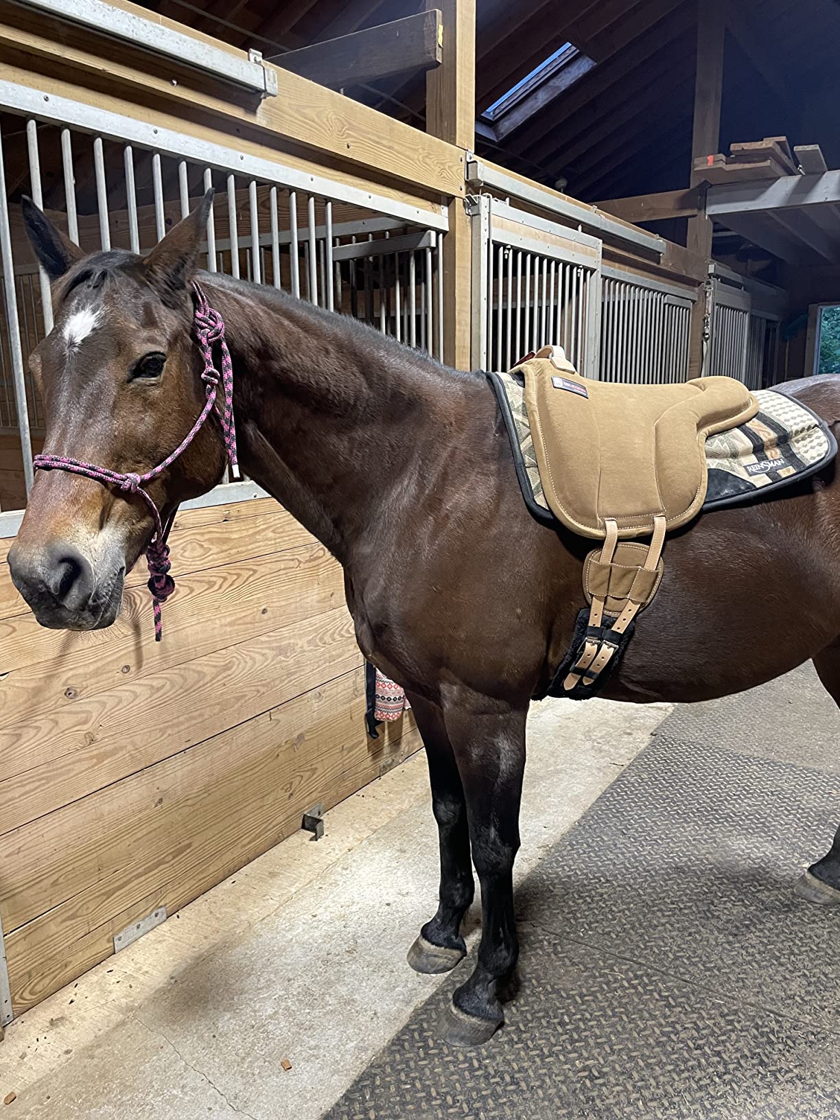 31/mo Finance HILASON Horse Bareback Saddle Pad Anti Slip Base Suede