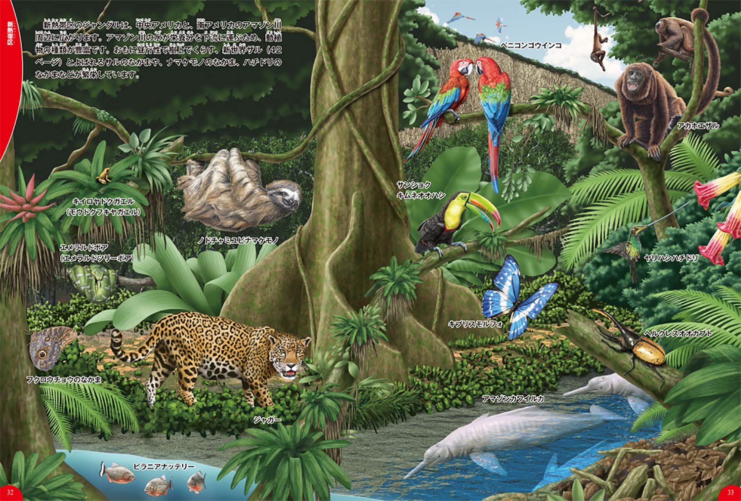 Amazon Co Jp ジャングルの生き物 学研の図鑑ｌｉｖｅ ライブ 今泉忠明 湯本貴和 Japanese Books