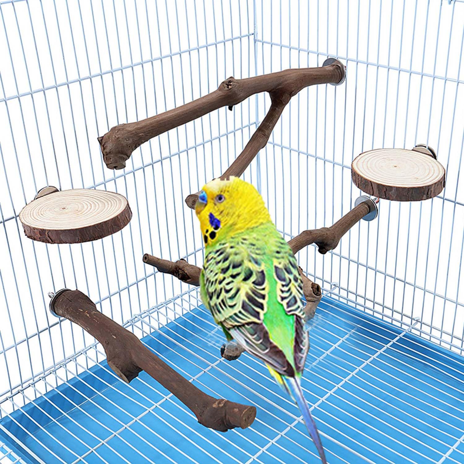 Allazone 7 PCS Natural Parrot Perch Bird Stand, Bird Platforms, Grape Wood Stands, Chewing Toy for Small Lovebirds Budgies Cockatiels - Image 4