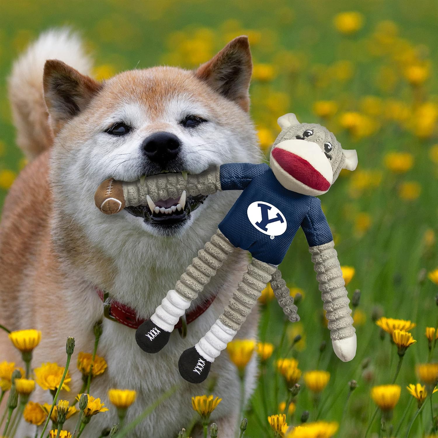 Littlearth NCAA Unisex NCAA Sock Monkey and Flying Disc Pet Toy Combo Set