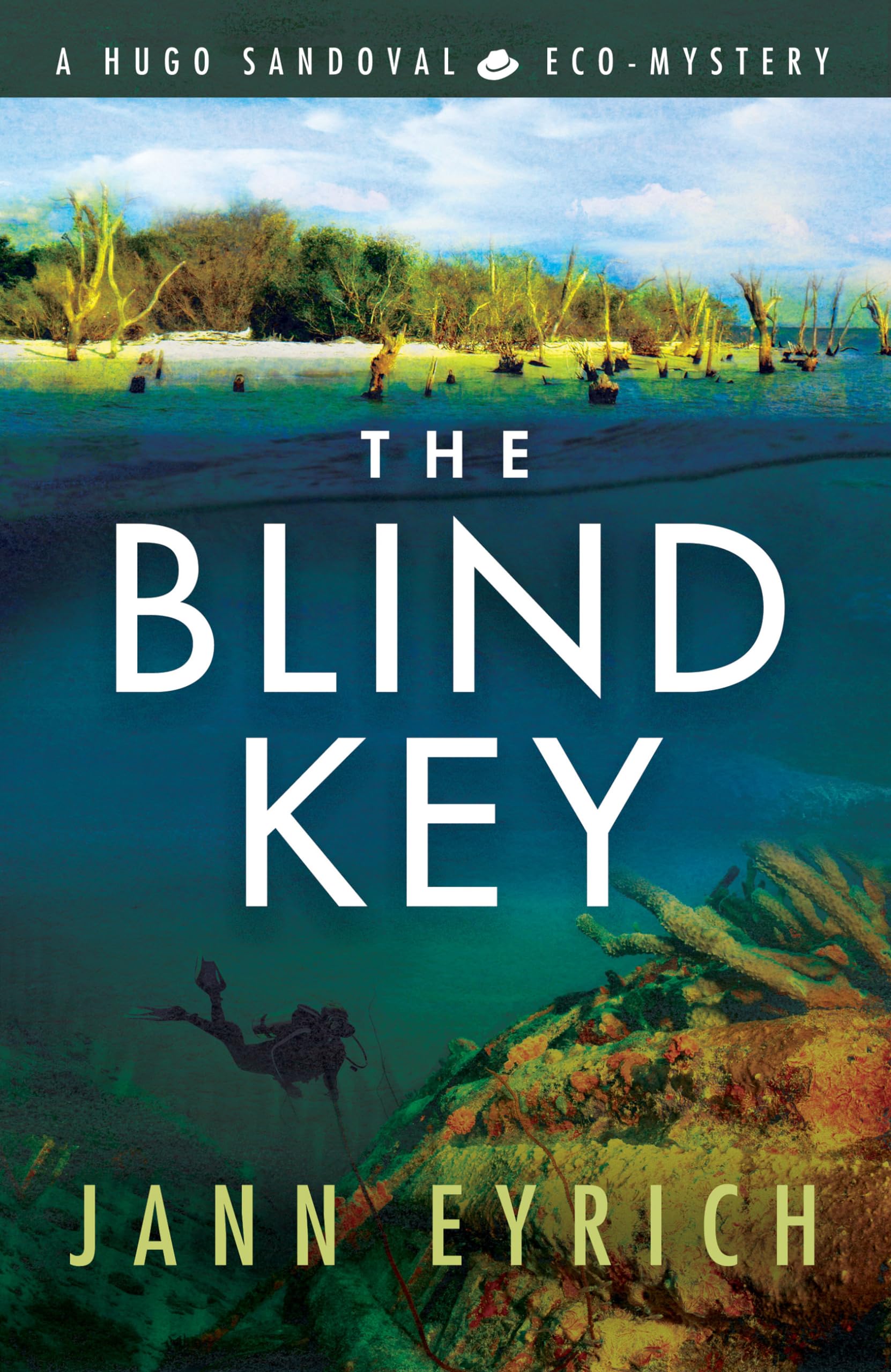 Buy The Blind Key: A Hugo Sandoval Eco-Mystery: 2 — BookShops.in