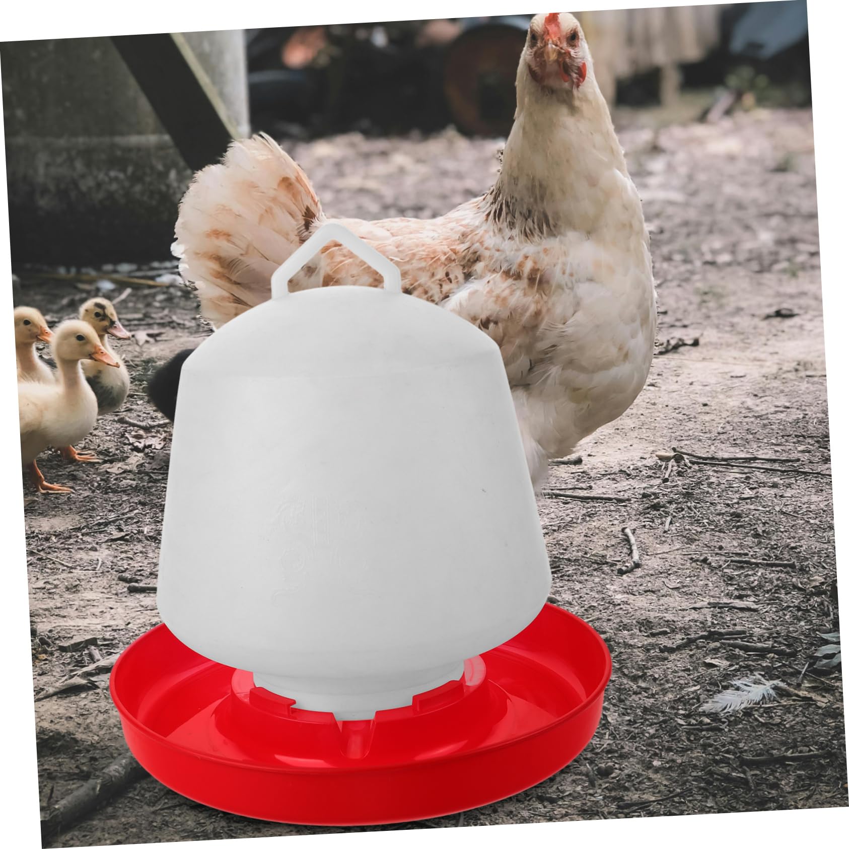 ibasenice Mangiatoia e Installazione Comoda Resistente alla Pressione per Pollame in Plastica Bianca Design Creativo per Alimentazione All'aperto di Polli e Piccioni