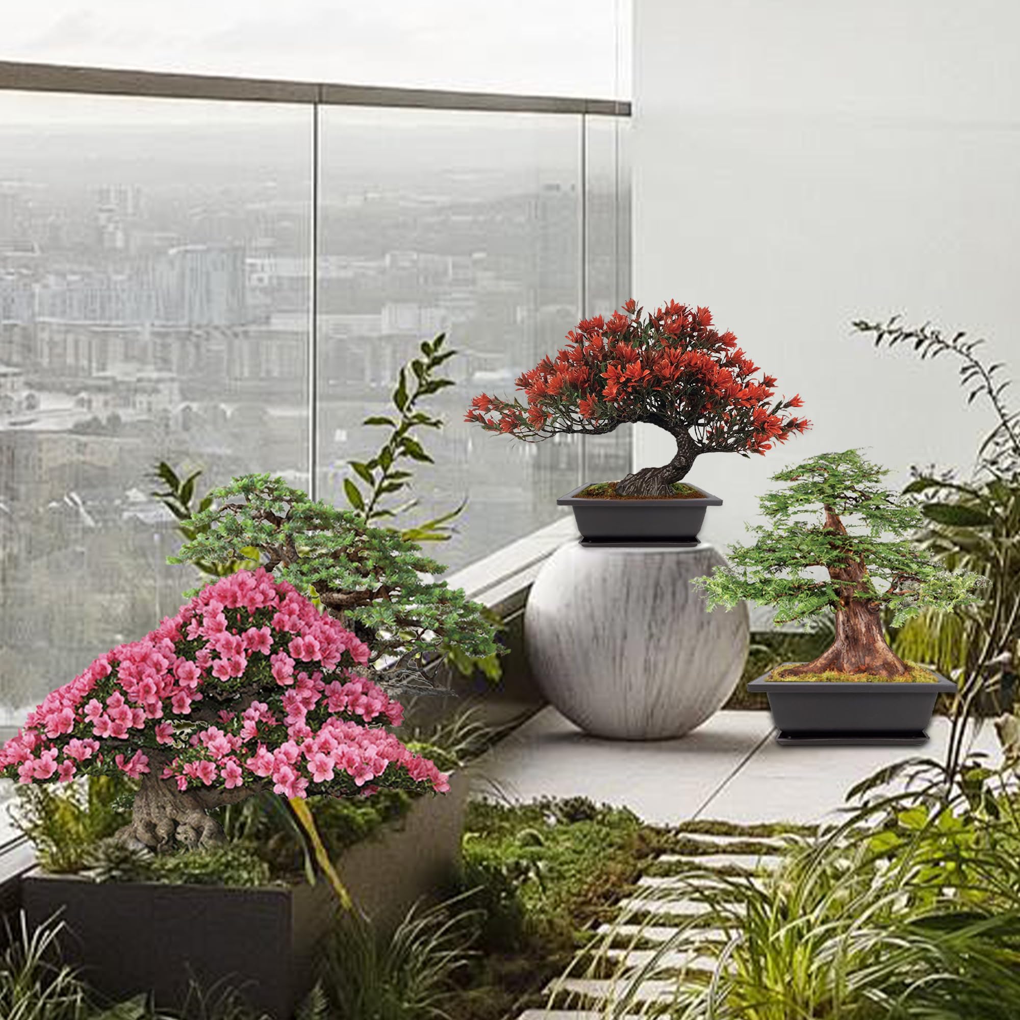 Starter kit per bonsai, 5 semi che crescono in abete blu, bosso cinese, sequoia alba, albero di fiamma e albero di Giuda, con attrezzi da giardinaggio completi con scatola regalo, regali di