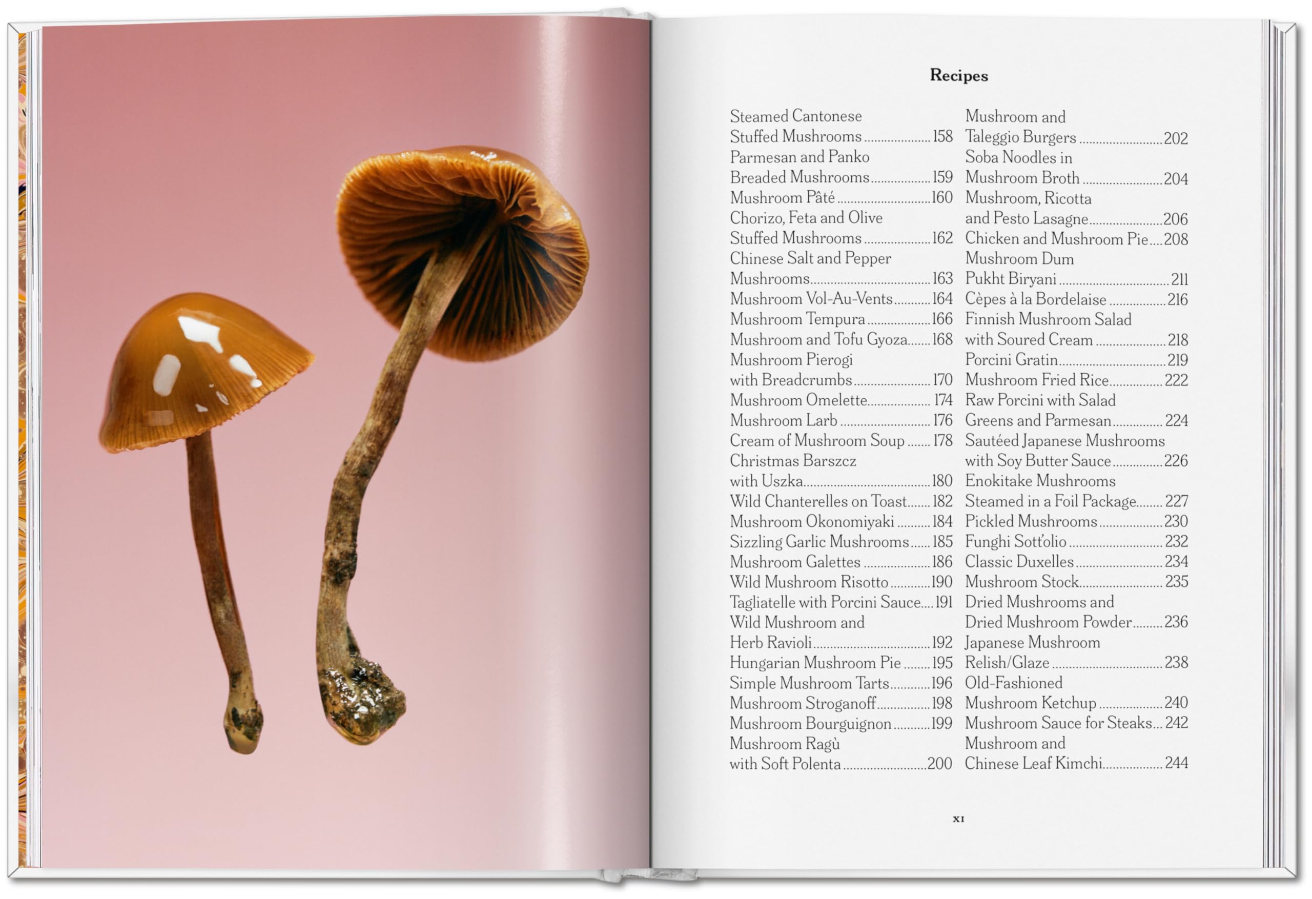 The Gourmand's Mushroom: A Collection of Stories and Recipes