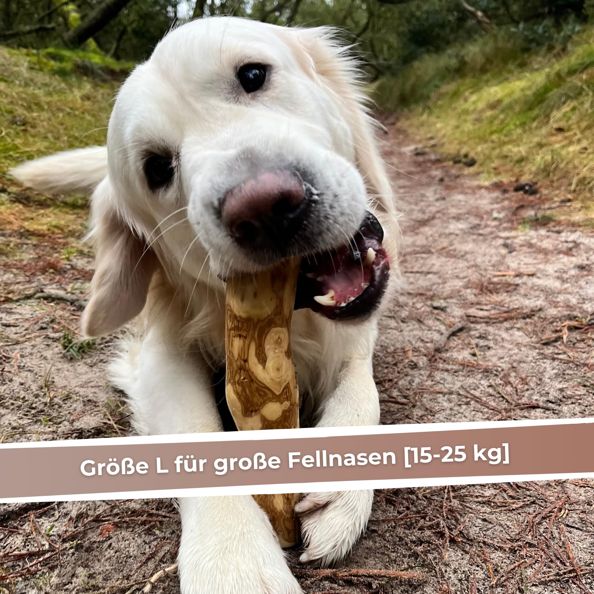 Zoys® Kaffeeholz für Hunde - Natürlicher Kauknochen für Hunde in 5 Größen - Kaustab für Zahnreinigung & Zahngesundheit & nachhaltige Beschäftigung - Hundezubehör langlebig & risikoarm (L, 3, stück)