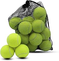 Swingers 20 Pack Tennis Balls for Dogs & Training - Durable High Bounce Practice Balls with Mesh Bag, 7 Colors