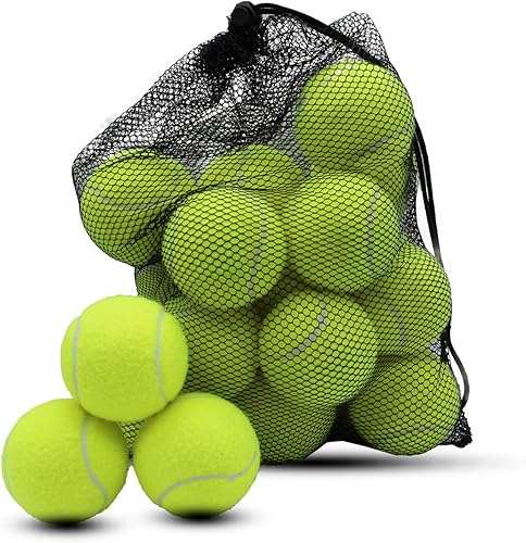 Swingers Paquete de 20 Pelotas de Tenis, Pelotas de Ejercicio de Entrenamiento para Perros Mascotas, Pelotas de Tenis de Práctica de Alta