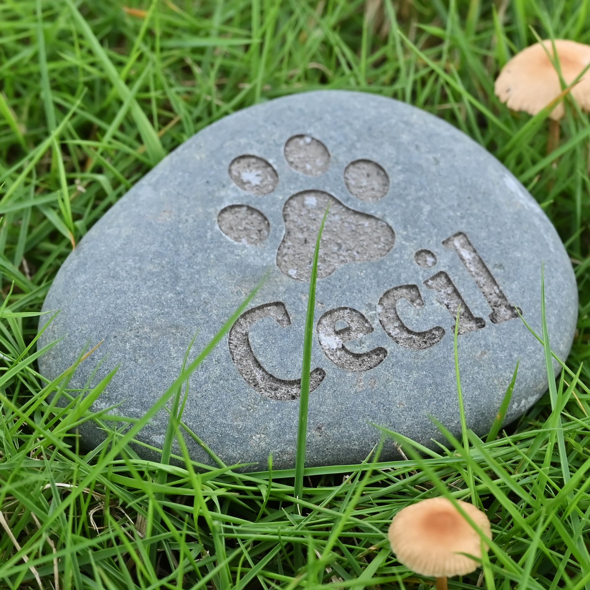 Paw Print Memorial Stone River Rock | Paw Print Lover Gift | Paw Print Memorial | Paw Print Headstone | Paw Print Keepsake | Paw Print Remembrance