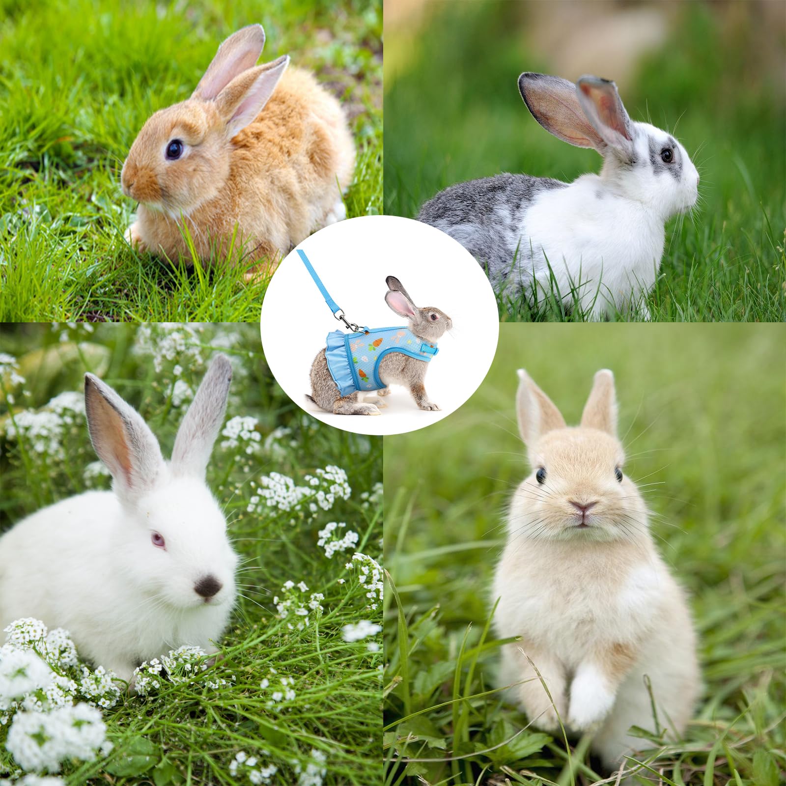 Harnais Réglable Et Laisse pour Lapins Gilet Respirant en Maille Douce pour Petits Animaux Chats Cochons d'Inde Sécurité EtEconfort Idéal pour Lapins Nains (Bleu)