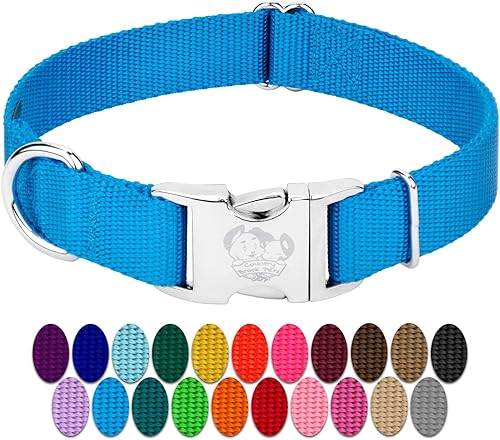 Country Brook Petz Collar de nailon premium para perro con hebilla de metal Vibrante selección de 25 colores, Azul (Ice)