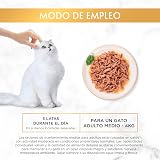 Ver la foto 3