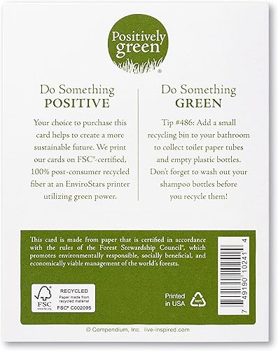 Miniatura 6 de Compendium Tarjetas de felicitación positivamente verdes, paquete de 4 tarjetas de agradecimiento, agradecimiento infinito (cuatro tarjetas en