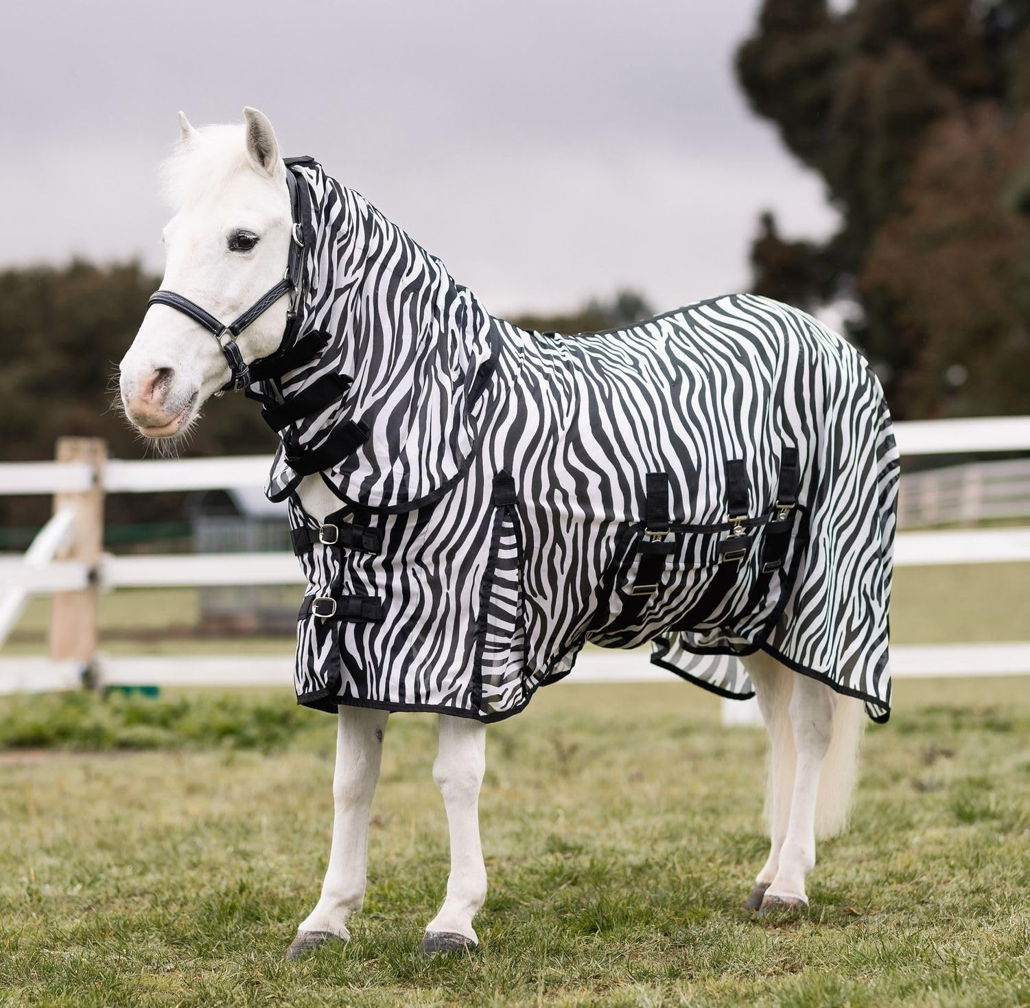 netproshop Pony Fliegendecke mit Halsteil Bauchlatz u Schweiflatz Zebra Print Gr. 75-125, Groesse:85, Farbe:Zebra