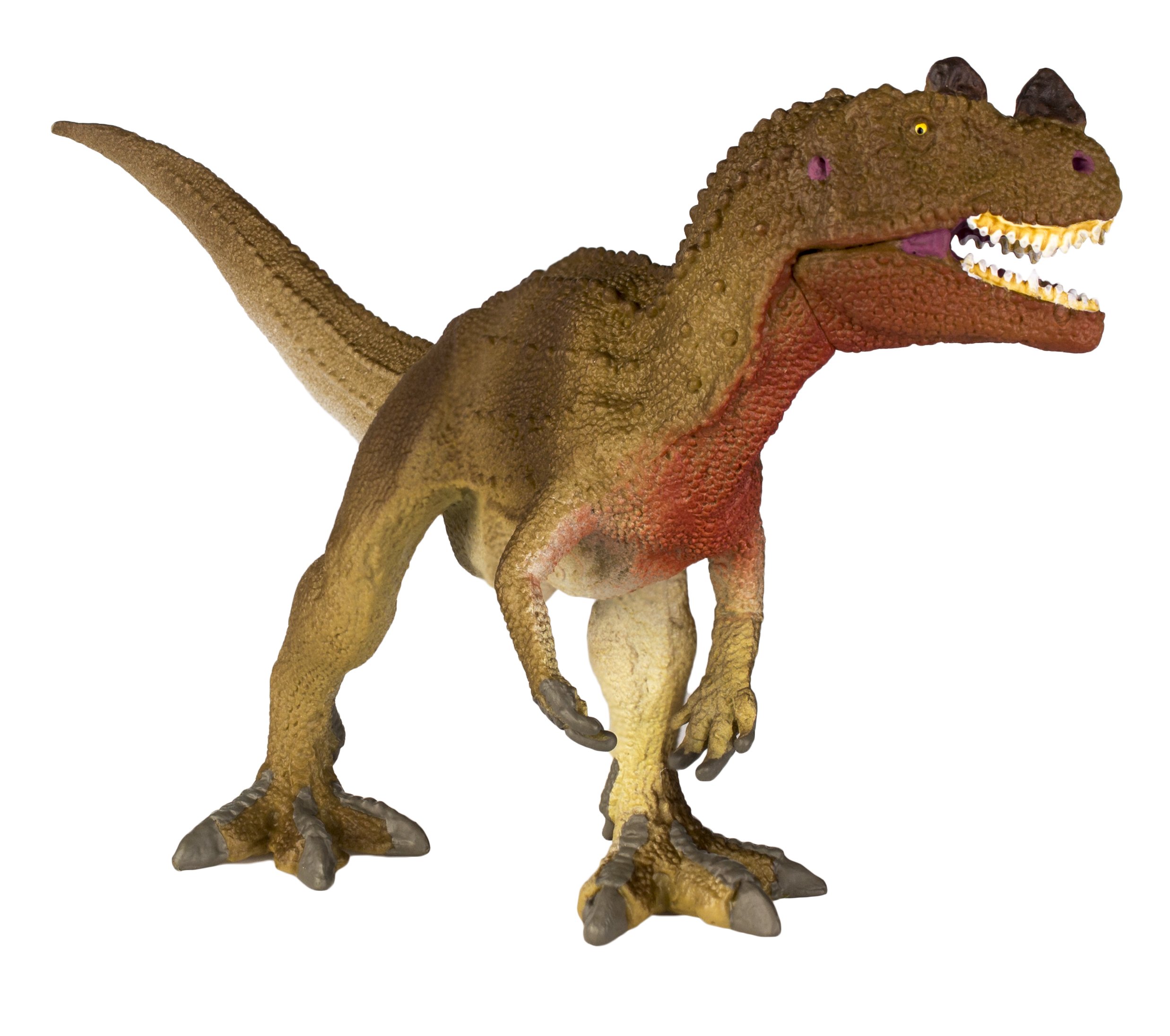 Ceratosaurus, dinozaur Safari zabawka
