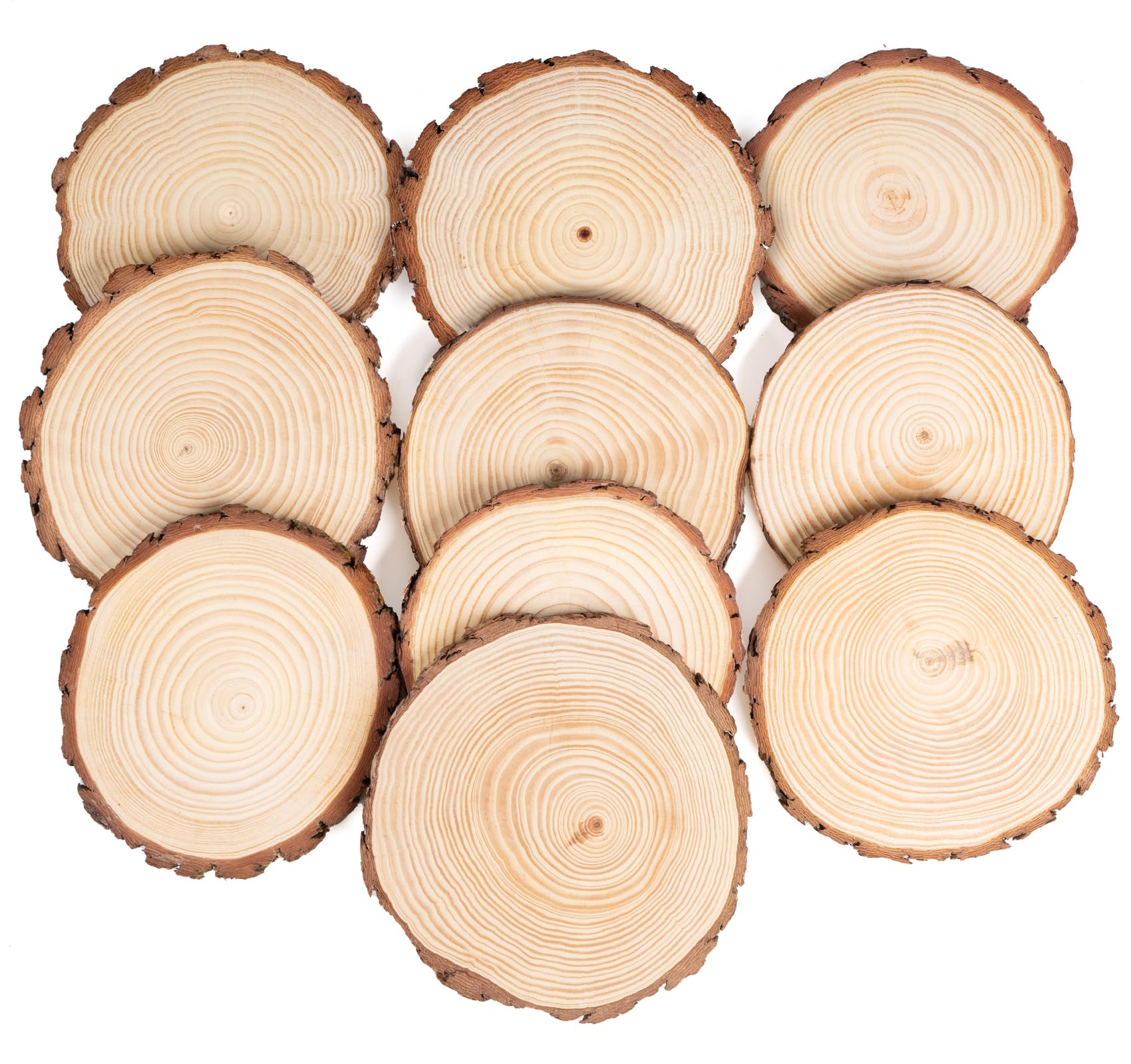Large Wood Slices 10 Pcs, 5.5-5.9 inches No Hole Log Wooden Circles Natural with Tree Bark,Unfinished Log Wooden Rounds Rustic for Crafts and DIY Arts, Wedding and Christmas Ornaments Coasters