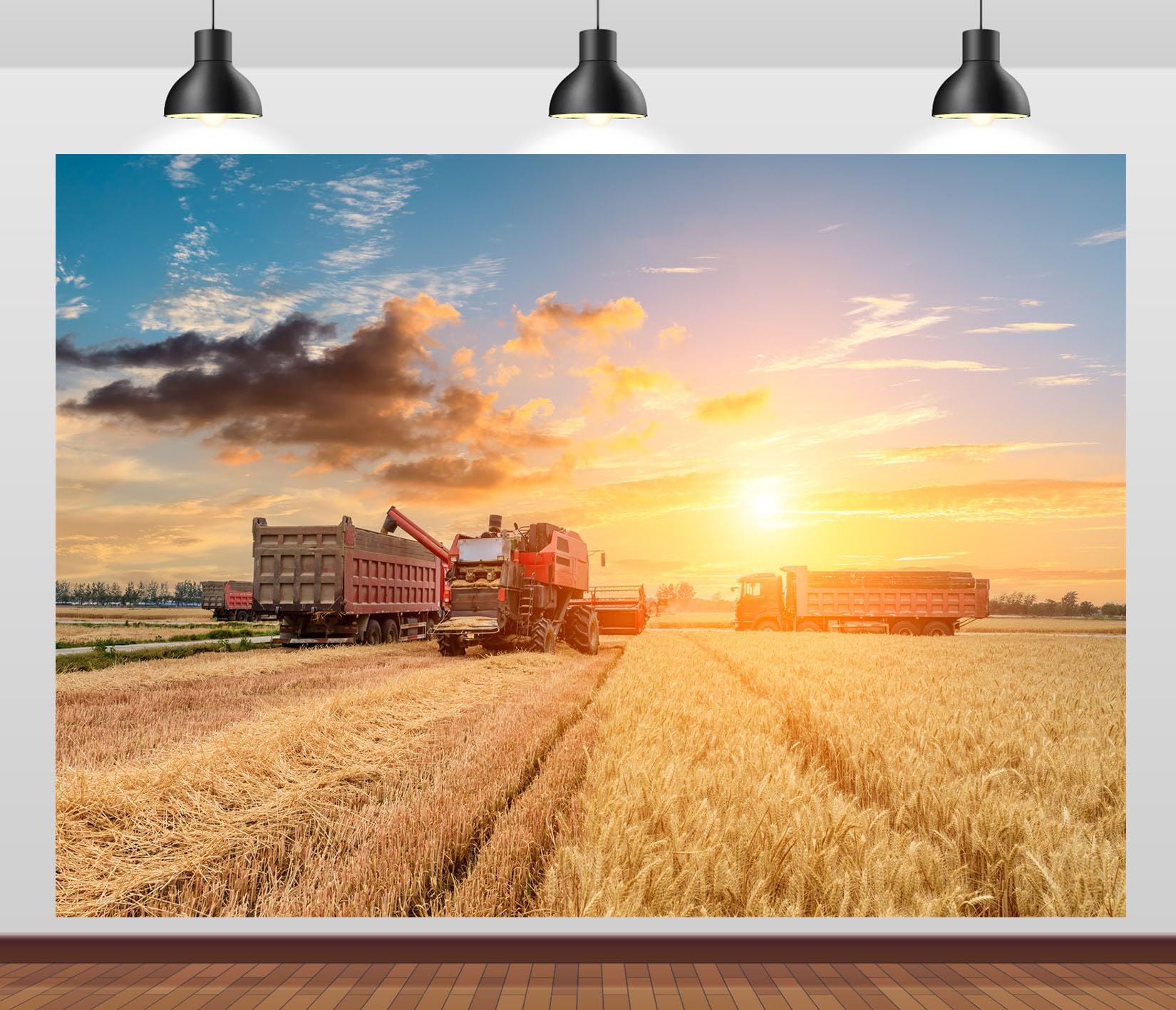 8x8FT Campo Raccolta Grano Dorato Sfondo Fotografico