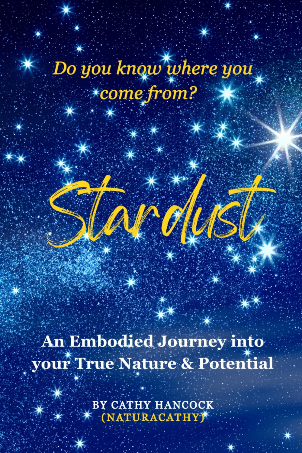 Stardust: An Embodied Fantasy Adventure that will have you feeling your True Potential