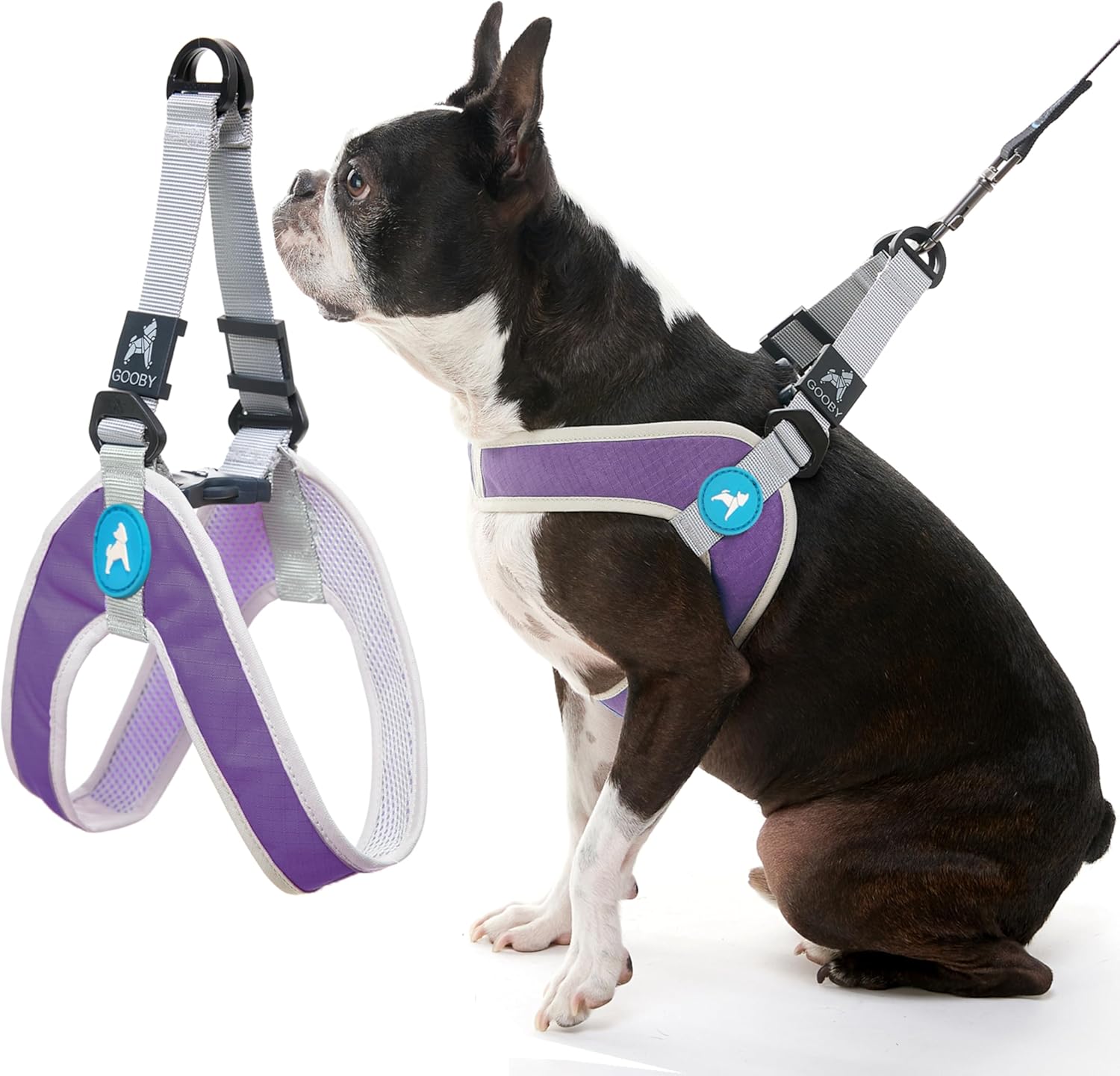 Size S Gooby Simple Step in III Harness - Purple, Small - Small Dog Harness with Scratch Resistant Outer Vest - Soft Inner Mesh Harness for Small, Medium Dogs