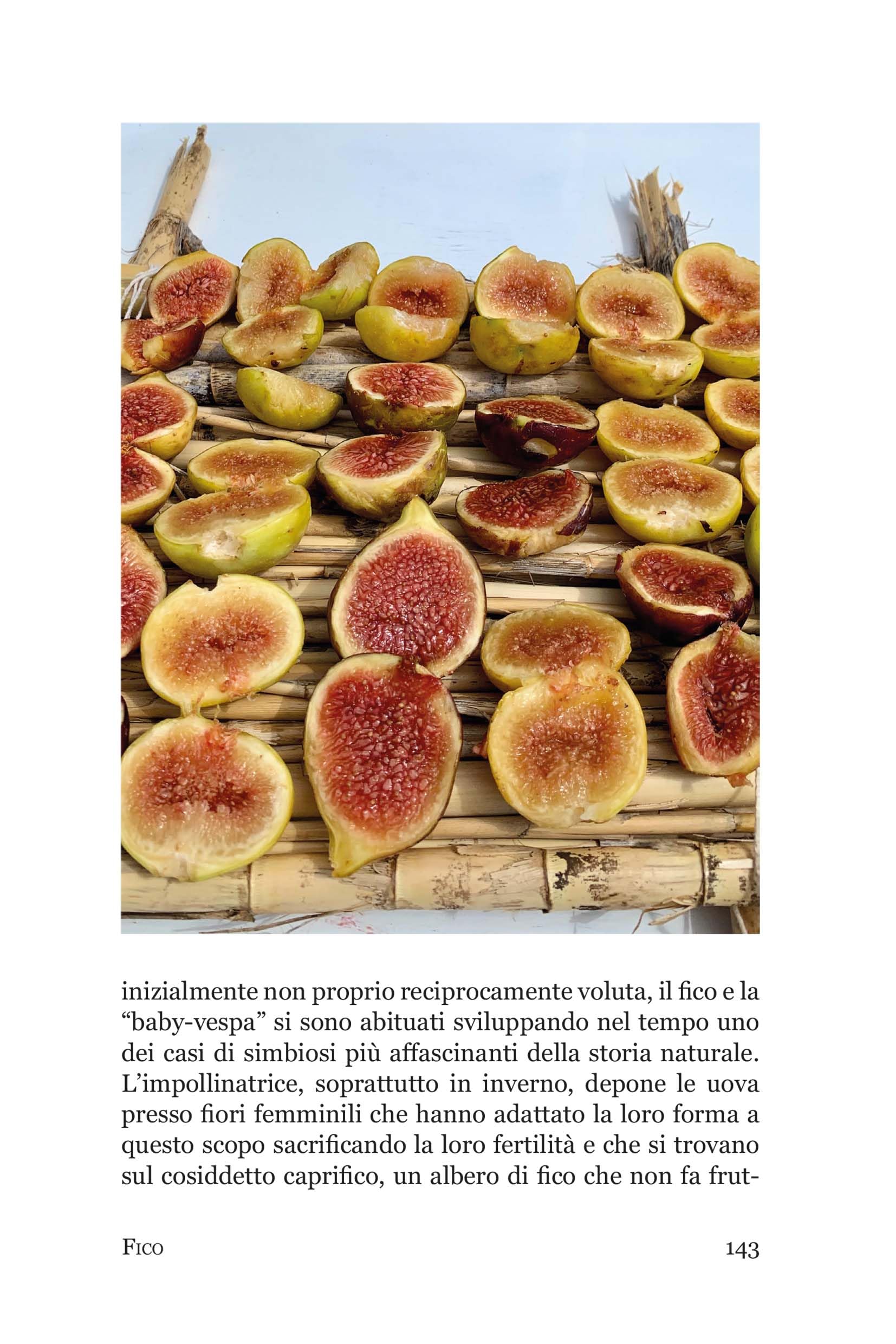 Così fan frutti. Viaggio colto tra gli alberi che fanno bene. Con storie di scienza e gusto