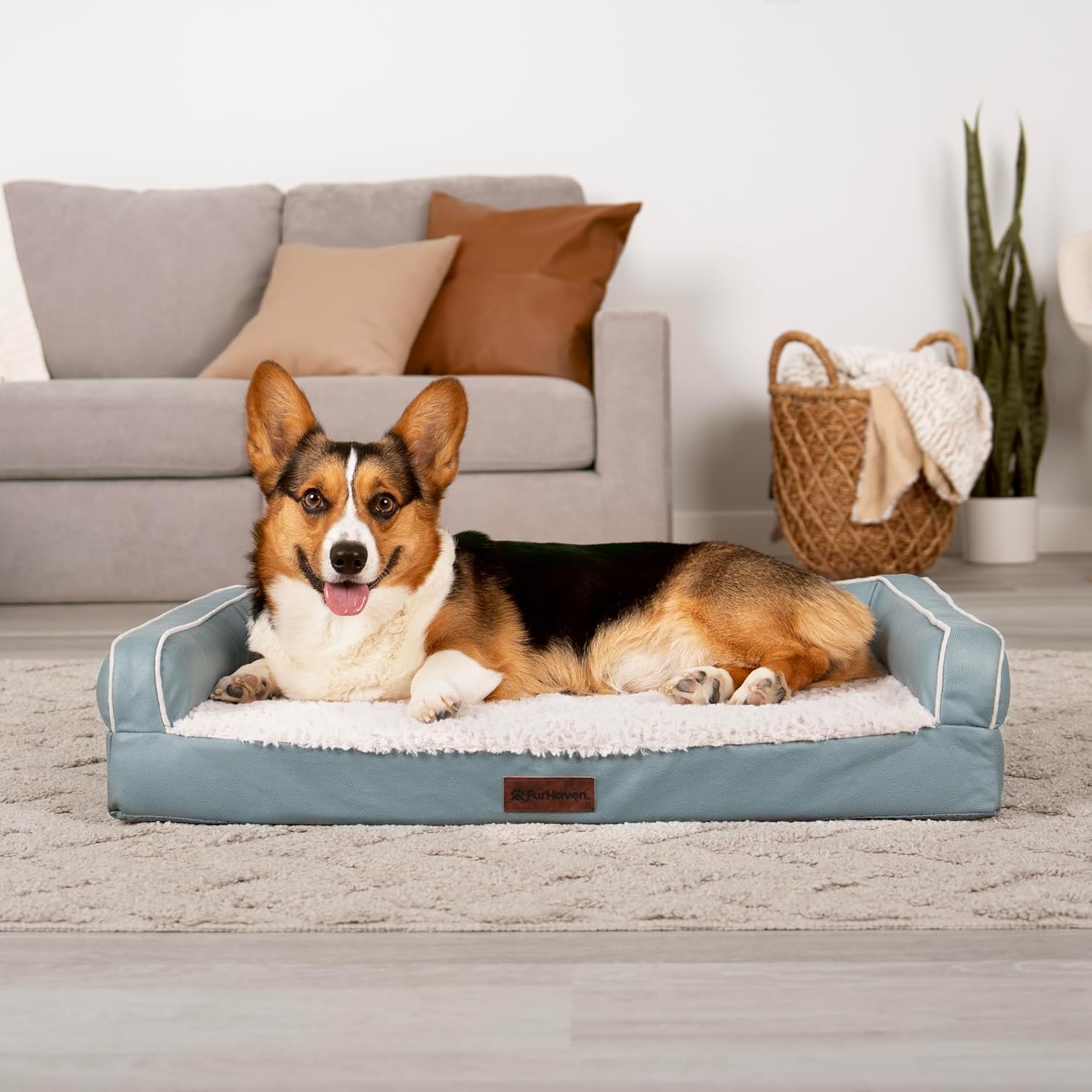 FurHaven Textured Plush & Coated Polyester Solid Core Modern Sofa Pet Bed, Riverway, Medium