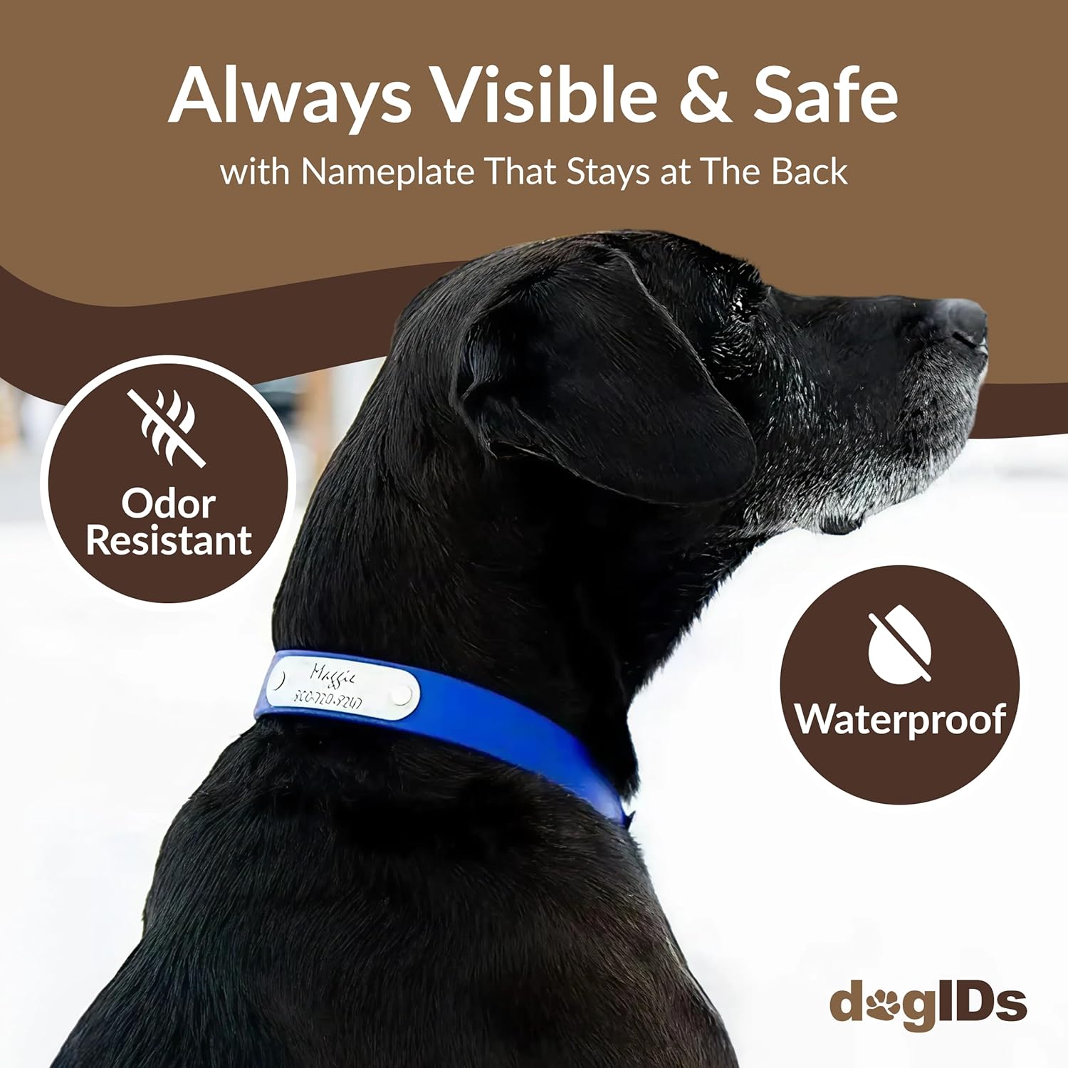 dogIDs Personalized Dog Collar – Custom Waterproof Soft-Grip Biothane with Laser-Engraved Nameplate, Durable & Odor-Resistant, USA Made | Amethyst, 1 in x 18 in (Fits Neck Sizes 16-20 in)