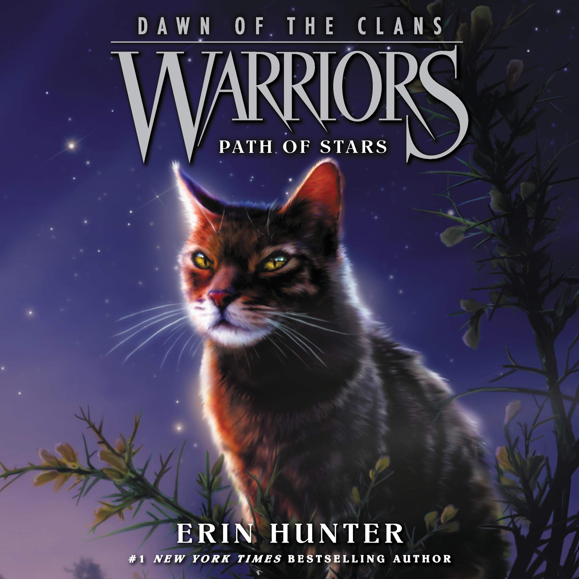 Cover art for Warriors: Dawn of the Clans #6: Path of Stars