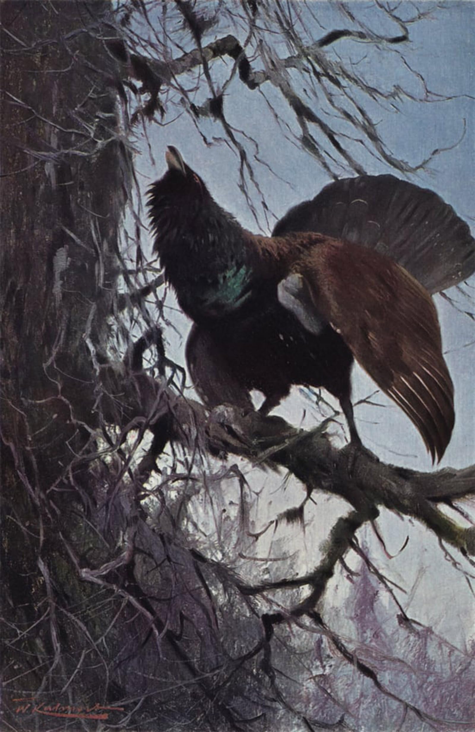 Serendipitp No Frame Vintage Wall Art Canvas Nordic Poster Canvas Print Picture Capercaillie By After Wilhelm Kuhnert Wall Art Poster For Home Decor 60X90cm