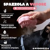 Ver la foto 6