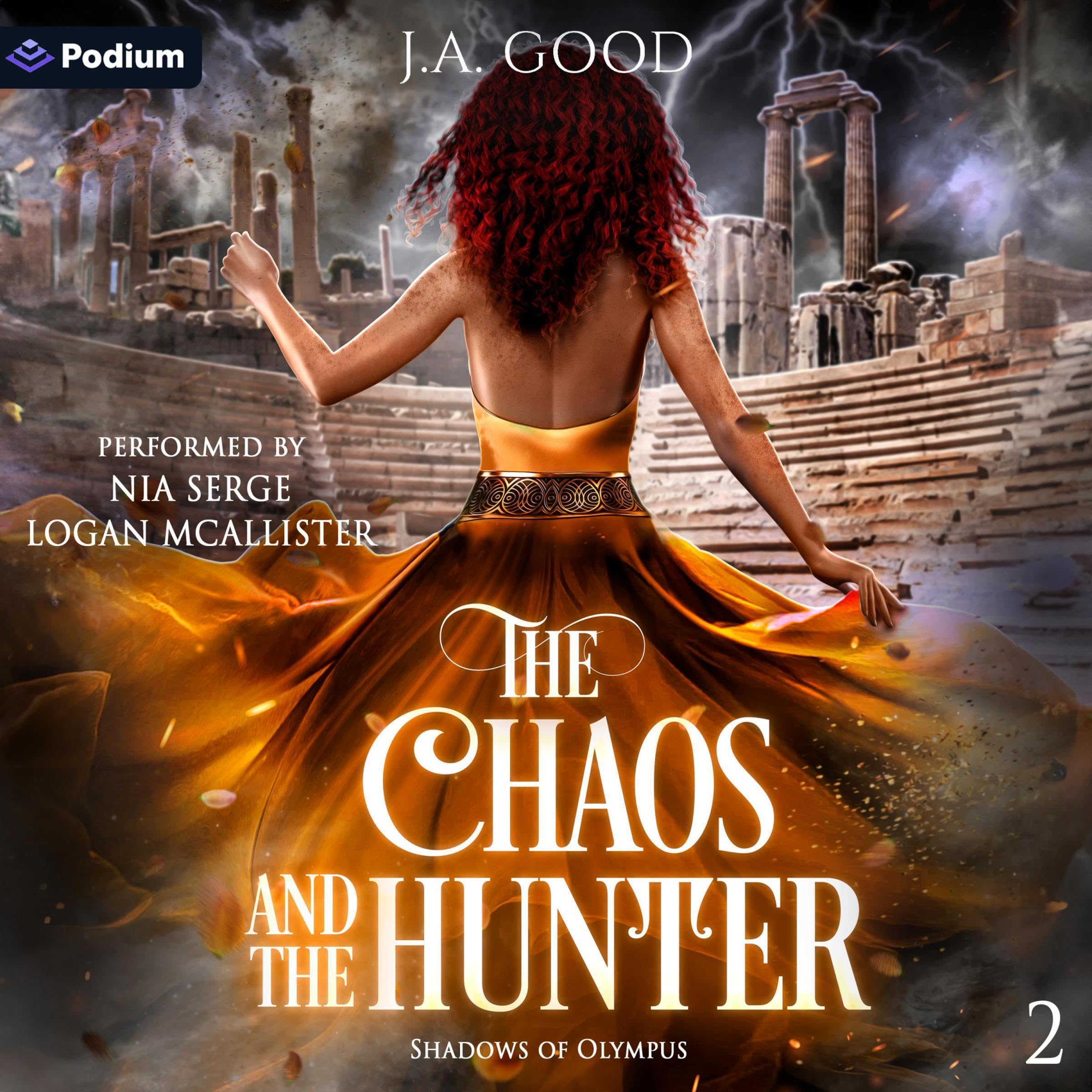 Cover art for The Chaos and the Hunter